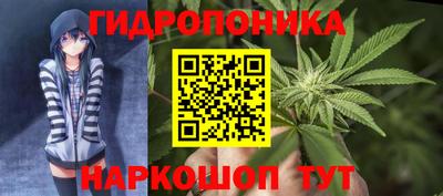 кокс Дубна
