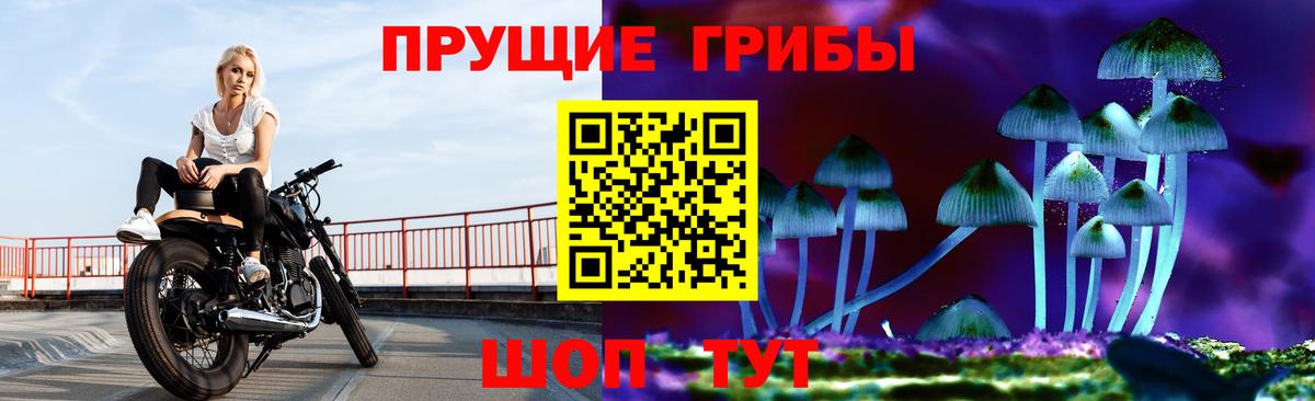 Нефтекумск  Псилоцибиновые грибы Psilocybine cubensis  Вход с VPN 